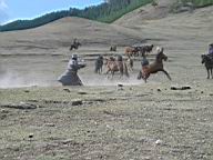 10 - Uujimin Am area - Taking the horses.JPG
